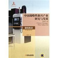 中国战略性新兴产业研究与发展 - 盛伯浩