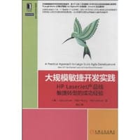 书籍 大规模敏捷开发实践的封面
