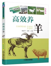高效养羊