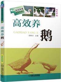 高效养鹅