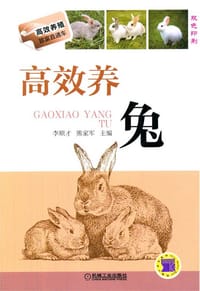 高效养兔