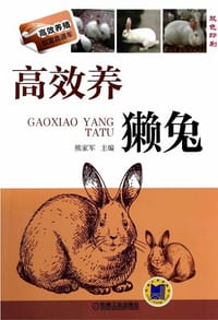 高效养獭兔