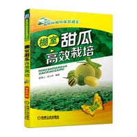棚室甜瓜高效栽培 - 苗锦山