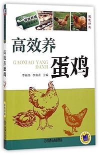 高效养蛋鸡 - 李福伟, 李淑青