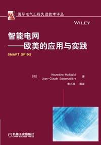 智能电网——欧美的应用与实践 - （法）Nouredine Hadjsaid
