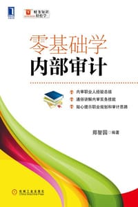 零基础学内部审计 - 郑智园
