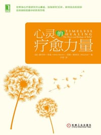 书籍 心灵的疗愈力量的封面