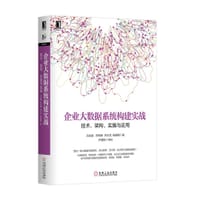 企业大数据系统构建实战：技术、架构、实施与应用