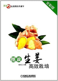 图说生姜高效栽培(全彩版) - 彭长江