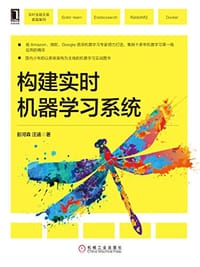 书籍 构建实时机器学习系统的封面