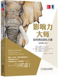 影响力大师：如何调动团队力量（原书第2版）