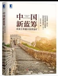 书籍 中国新蓝筹：未来十年最大投资金矿的封面