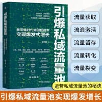 引爆私域流量池：新零售时代如何低成本实现爆发式增长 - 殷中军