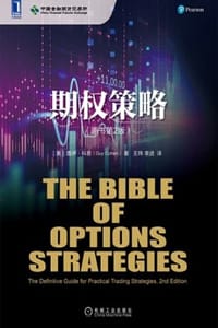 书籍 期权策略（原书第2版）的封面