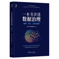 一本书讲透数据治理：战略、方法、工具与实践 - 用友平台与数据智能团队