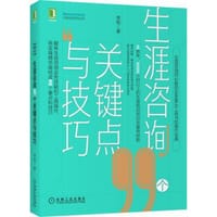 书籍 生涯咨询99个关键点与技巧的封面