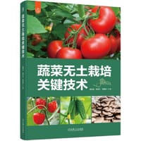 蔬菜无土栽培关键技术