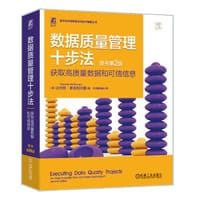 数据质量管理十步法：获取高质量数据和可信信息（原书第2版） [美]达内特·麦吉利夫雷