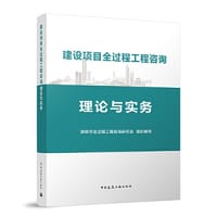 建设项目全过程工程咨询理论与实务