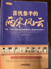 书籍 正说中国史：喜忧参半的两宋风云的封面