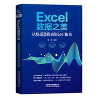 Excel数据之美：从数据透视表到分析报告 - 杨群