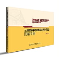 公路桥梁典型病害诊断与处治图解手册