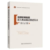 浅埋软弱地层超大断面隧道修建技术 - 无名图书