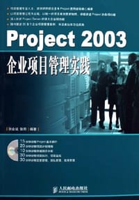 Project2003企业项目管理实践