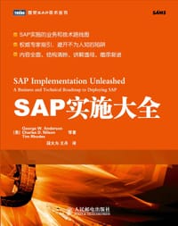 SAP实施大全