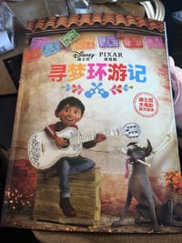 书籍 寻梦环游记的封面