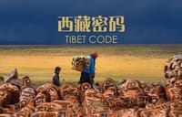 西藏密码