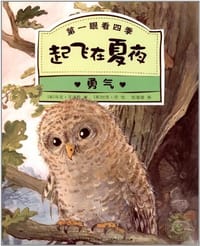起飞在夏夜 - [英] 马克·艾泽拉