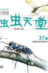 虫虫天堂：37只可爱的虫儿在你笔下 - 麓山画室 编著