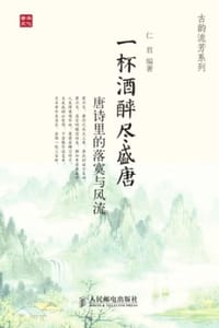 一杯酒醉尽盛唐：唐诗里的落寞与风流 - 仁君