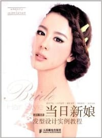 书籍 当日新娘发型设计实例教程的封面