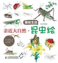 亲近大自然·昆虫绘 - 虫虫工作室