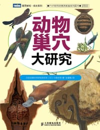 动物巢穴大研究