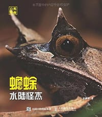 水陆怪杰 蟾蜍 - 史静耸