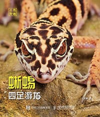 四足游龙·蜥蜴
