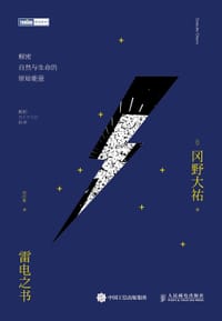 雷电之书 - （ 日） 冈野大祐