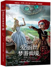 书籍 爱丽丝梦游仙境原著小说的封面