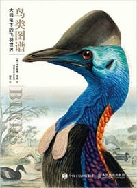 鸟类图谱