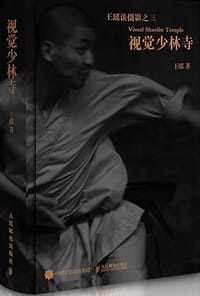 书籍 视觉少林寺的封面