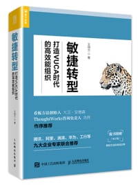 敏捷转型：打造VUCA时代的高效能组织 - 王明兰