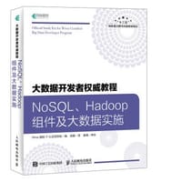 书籍 NoSQL Hadoop组件及大数据实施的封面