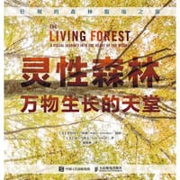 灵性森林 万物生长的天堂