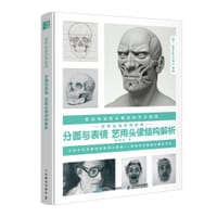 分面与表情 艺用头像结构解析
