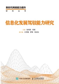 信息化发展驾驭能力研究
