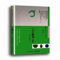 首饰设计与工艺系列丛书 玉石雕刻工艺 - 岳建光 韩欣然