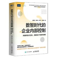 数智时代的企业内部控制 关键风险点控制、流程设计与案例详解